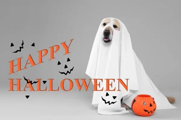 Happy Halloween from Emerald Lending, LLC